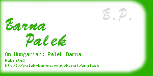 barna palek business card